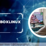 About PlugboxLinux-Get the Performance You Deserve Best Info 2026